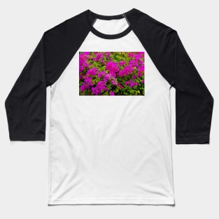 Bougainvillea and Foliage II Baseball T-Shirt